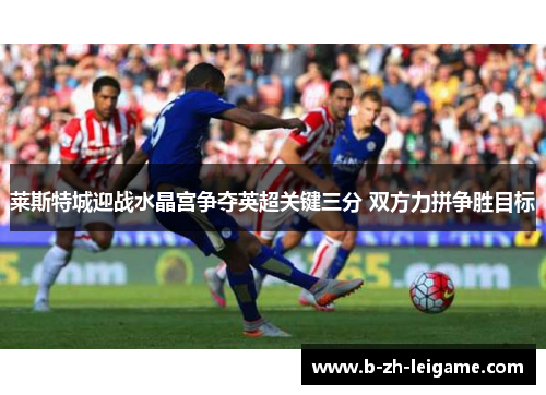莱斯特城迎战水晶宫争夺英超关键三分 双方力拼争胜目标 莱斯特城迎战水晶宫争夺英超关键三分 双方力拼争胜目标