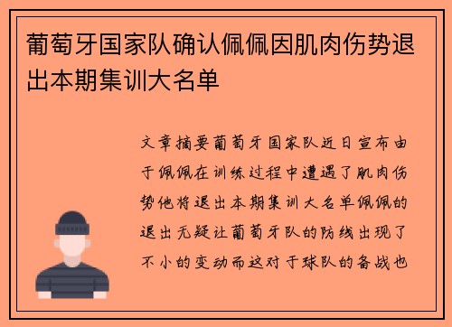葡萄牙国家队确认佩佩因肌肉伤势退出本期集训大名单