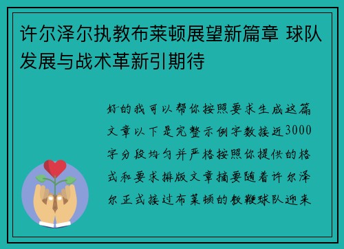 许尔泽尔执教布莱顿展望新篇章 球队发展与战术革新引期待